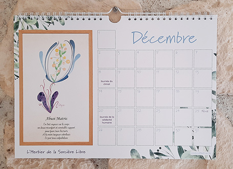 Page Janvier du Calendrier perpetuel Ecofeministe Herbier de la Sorciere Libre Aquarelle et Poesie CatMat dec 2025